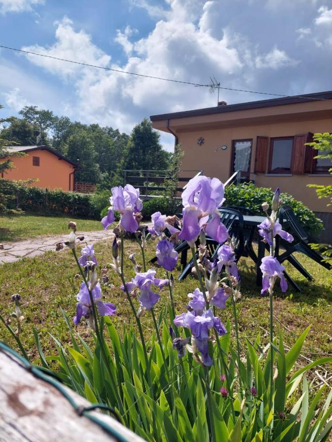Chalet Grazia Valgiano Экстерьер фото